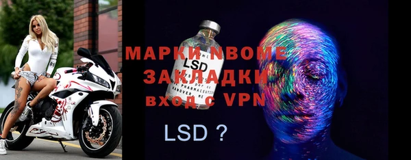 прущие грибы Заволжье