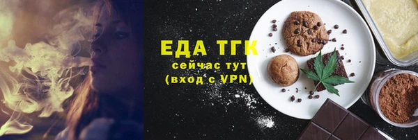 индика Заводоуковск
