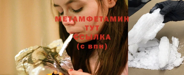 индика Заводоуковск