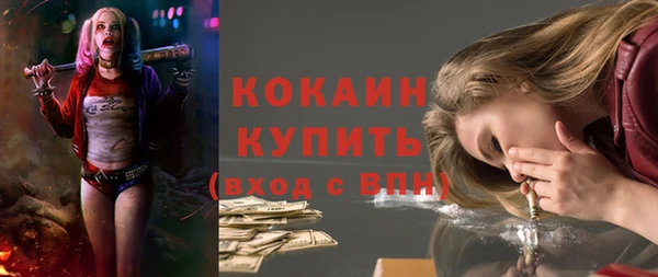 индика Заводоуковск
