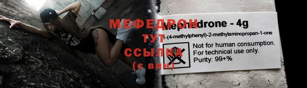 индика Заводоуковск