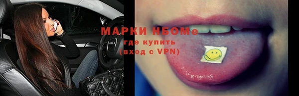 индика Заводоуковск