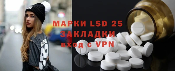 индика Заводоуковск