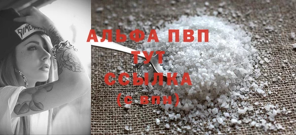 индика Заводоуковск
