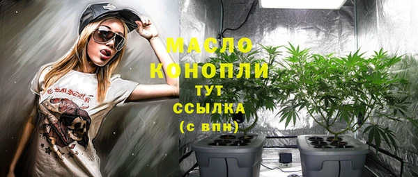индика Заводоуковск
