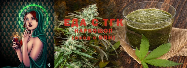 индика Заводоуковск