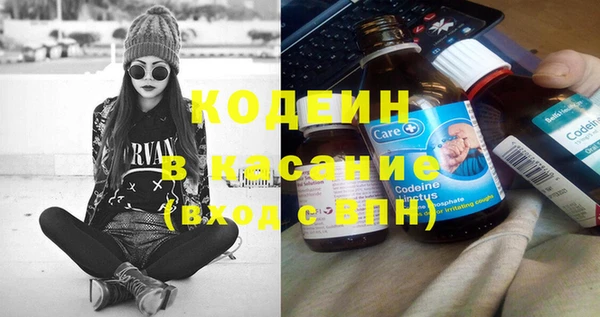 индика Заводоуковск