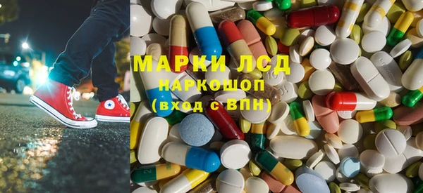 индика Заводоуковск