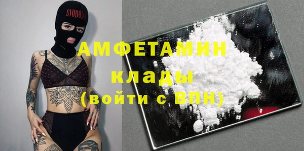 индика Заводоуковск