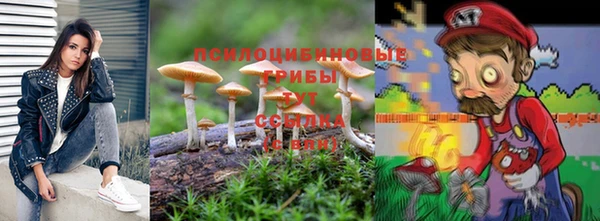 индика Заводоуковск