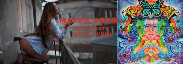 индика Заводоуковск