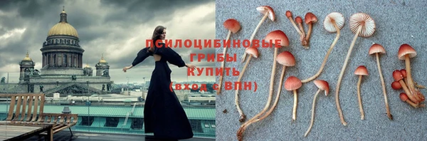 индика Заводоуковск