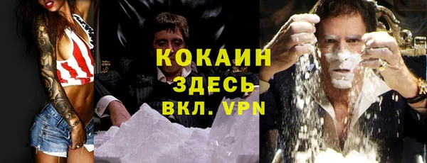 прущие грибы Заволжье