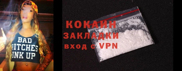 прущие грибы Заволжье