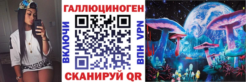 Купить  Керчь  Псилоцибиновые грибы Cubensis 